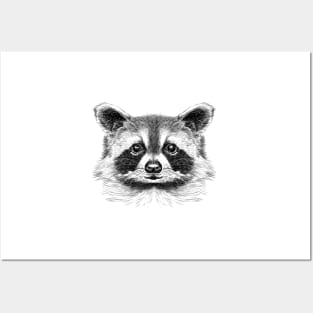 Racoon Posters and Art